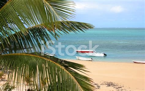 Rodrigues Island #4 Stock Photo | Royalty-Free | FreeImages