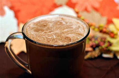 Cinnamon Spiced Mocha Latte Recipe - Rockin Mama™