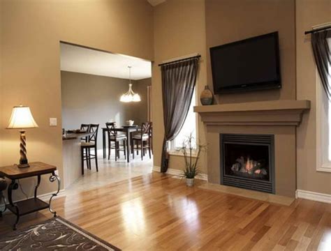 Direct Vent Gas Fireplace Installation Requirements | Home Design Ideas