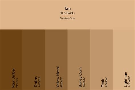 Tan Color: Its Meaning, Codes, and Top Palette Ideas - Picsart Blog