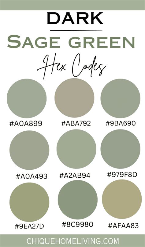 Sage Green Color Codes and Paint Colors