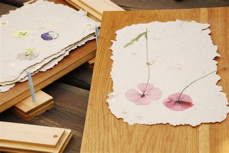 THE SHEER STORIES: Best method of pressing flowers