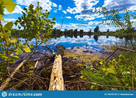 The Nature of Ufa, Bashkortostan, Russia Stock Image - Image of river ...