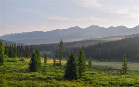 Photographer in Englewood Colorado | Gary Sheer Photography