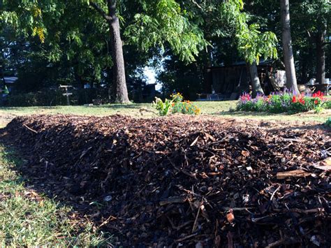 Sheet Mulching Tutorial: How to Start a Garden Without Tilling or ...