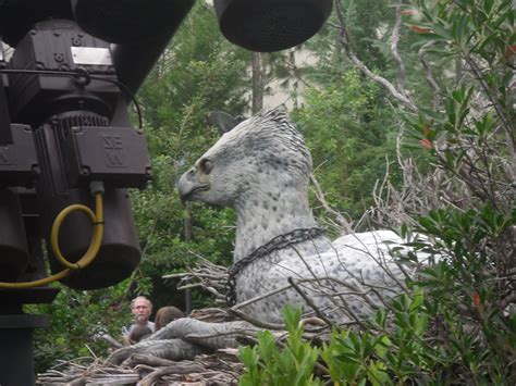 Images of Buckbeak - Harry Potter Wiki