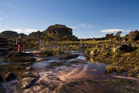 Landscape on the Top of Mount Roraima, Venezuela Stock Image - Image of ...