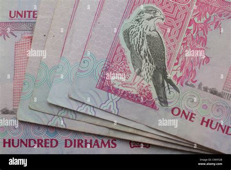 dirhams dirham notes cash currency United arab emirates UAE one hundred dirhams notes Stock ...