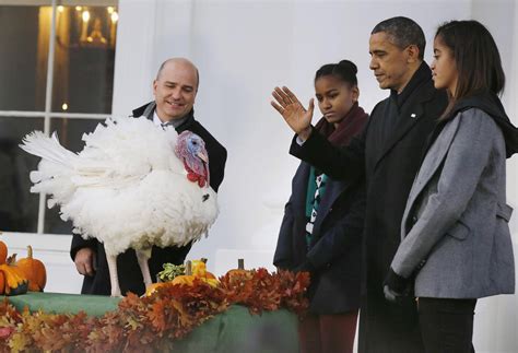 A look at the history of the White House turkey pardon as Obama ...