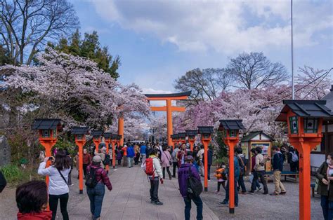 The 10 Most Beautiful Cherry Blossom (Sakura) Spots In Kyoto