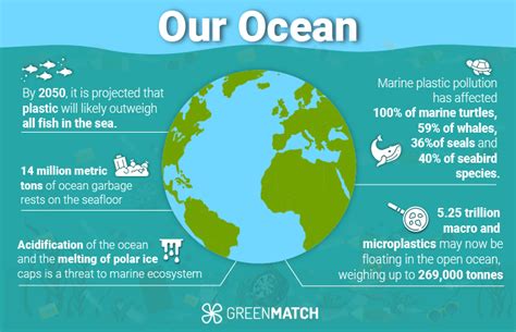 Ocean Pollution: Key Facts and Trends 2024 Update