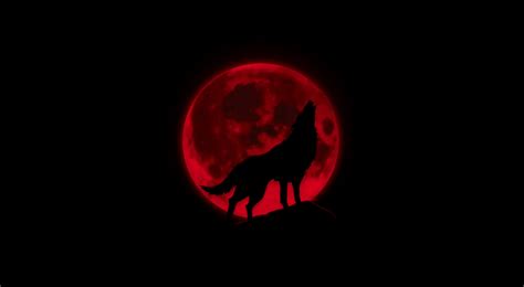 ArtStation - Wolf Wallpaper - Werewolf Wallpaper - Warwick League of ...