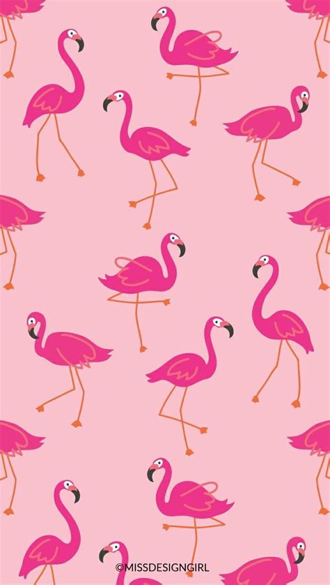 Cartoon Flamingo Wallpapers - 4k, HD Cartoon Flamingo Backgrounds on ...