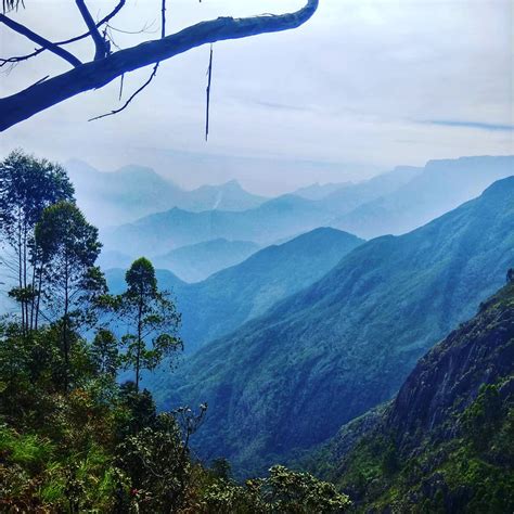 Green Valley View, Kodaikanal, Tamil Nadu Tourism 2021| Timings, Things to do, Travel Guide ...