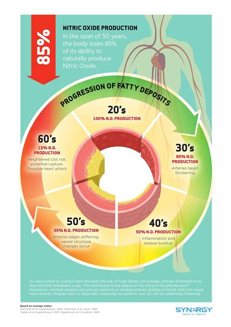 The importance of Nitric Oxide for human body | Nitric oxide benefits ...