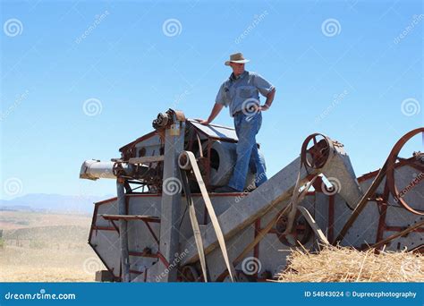 Threshing wheat editorial stock image. Image of industry - 54843024