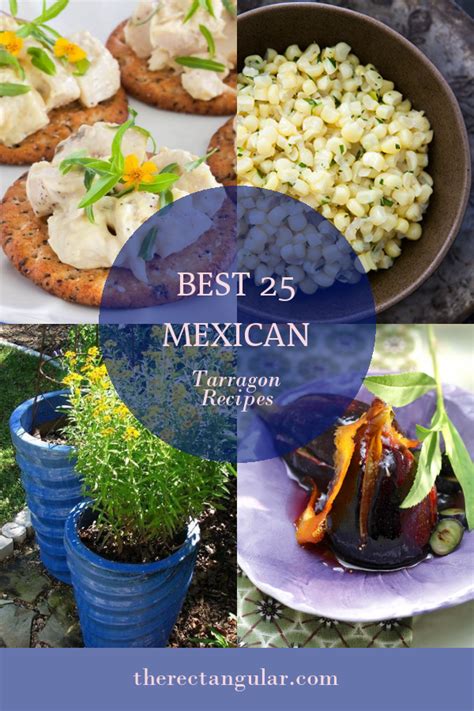 Best 25 Mexican Tarragon Recipes - Home, Family, Style and Art Ideas