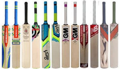 10 Facts about Cricket Bats | Fact File