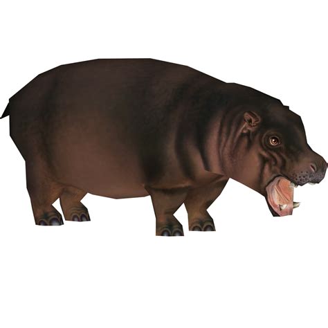 Malagasy Pygmy Hippopotamus (Dinosaur) | ZT2 Download Library Wiki | Fandom