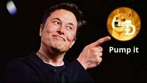 Why Elon Musk Likes to Pump Dogecoin?