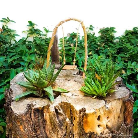 A Crafty Mix | Tree Stump Succulent Planter and Fairy Swing DIY - A ...