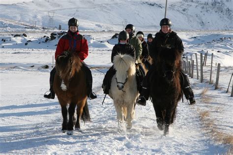 2-Hour Horse Riding Tour From Reykjavik | Guide to Iceland