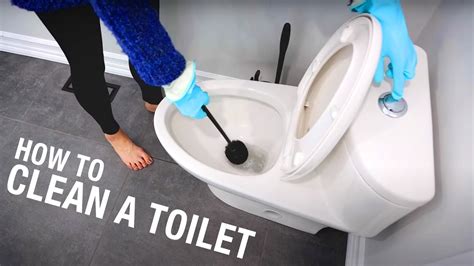 Clean toilet – Telegraph