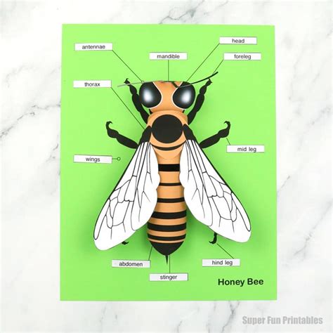 Bee Outline Printable