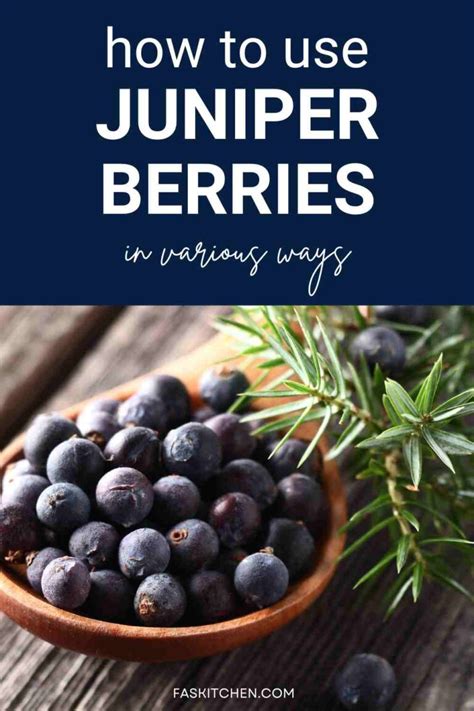 Juniper Berries 101: Nutrition, Benefits, How To Use, Buy, Store ...