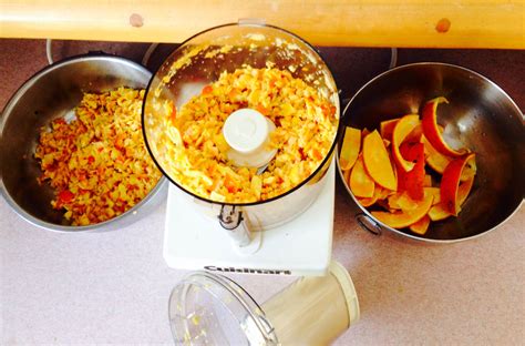 This is how we pre-process Citrus Peels and other tough compost to ...