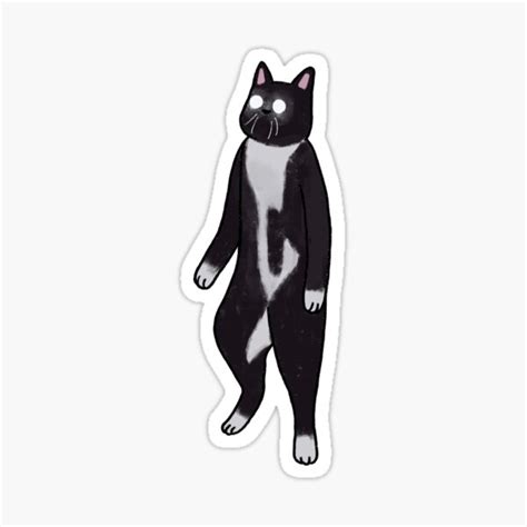 "Standing cat with glowing eyes meme" Sticker by Ashleysnook | Redbubble