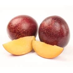 Plumcot Varieties - HEB