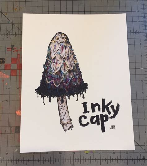 Inky Cap Mushroom Print – Slow Loris Studio