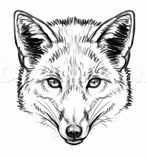 Fox sketch, Fox drawing, Fox tattoo design