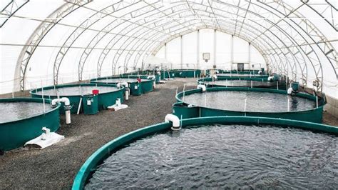 Here Are The Best Fish Farming Equipment You Must Own