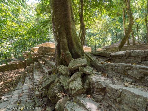 Palenque: Our Favourite Ruins in Mexico - Allons-y