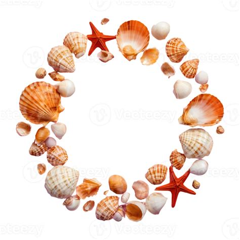 AI generated Transparent background with shells isolated 38263942 PNG