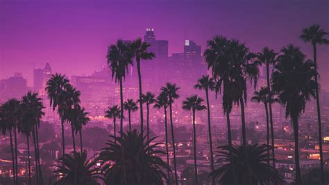 Los Angeles Palm Trees Wallpapers - Top Free Los Angeles Palm Trees ...