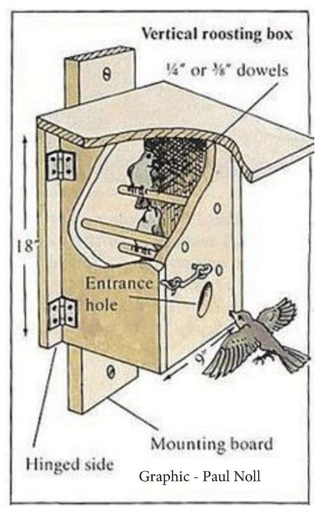 Winter Roost Box | Homemade bird houses, Bird houses, Bird house feeder