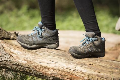 Woodland Wanders - Aberdeenshire Wildlife Explorers