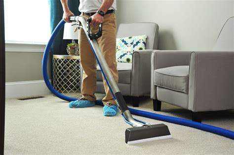 Should You Rent a Steamer or Hire a Professional Carpet Cleaner?