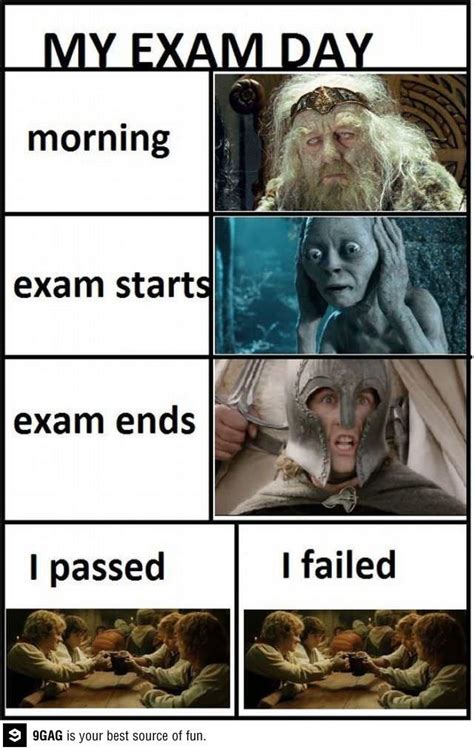 Exam week | Exam day, Exams memes, Funny pictures