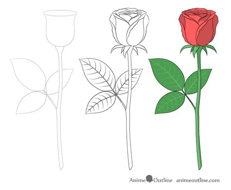 How to Draw a Rose Step by Step - AnimeOutline