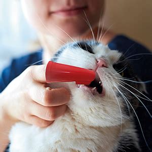 Beaphar Soft Finger Toothbrush for Cats and Dogs 2 Pack | Pets At Home