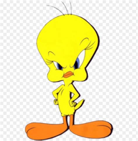 Tweety Looking Serious - Tweety Angry PNG Transparent With Clear Background ID 214011 | TOPpng