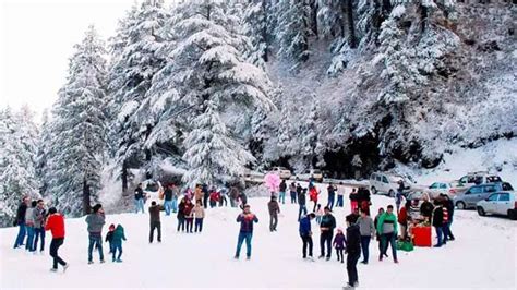 2 Nights 3 Days Shimla & Kufri Tour Package @8,500 Rs. Only