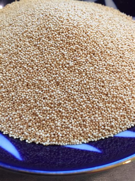 Amaranth Grain- What’s the Big Deal? - Veronica's Healthy Living