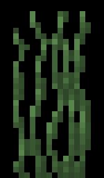 Double Tall Grass | Minecraft Bedrock Wiki | Fandom