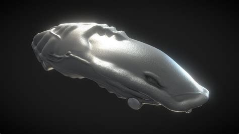 Kryptonian Ship - Man of Steel - Download Free 3D model by Jacob ...