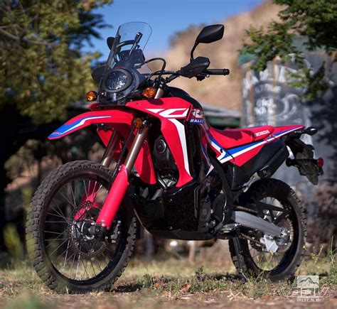 2021 Honda CRF300L and CRF300L Rally First Ride Review - ADV Pulse